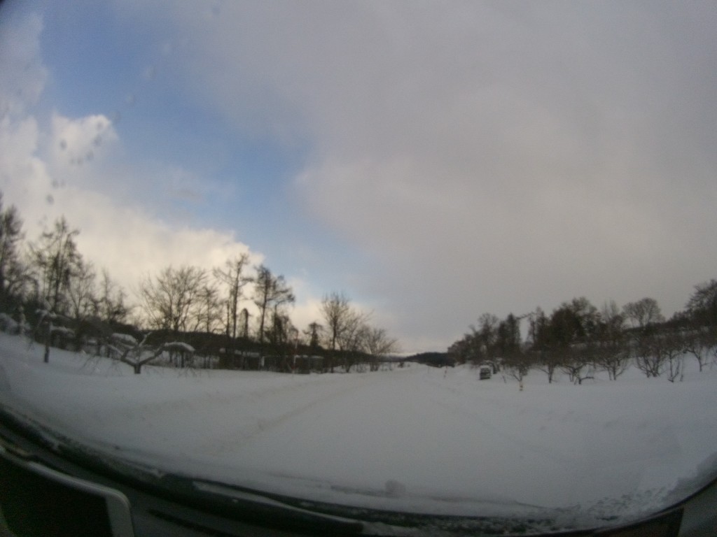 20140113_りんご畑の一本道