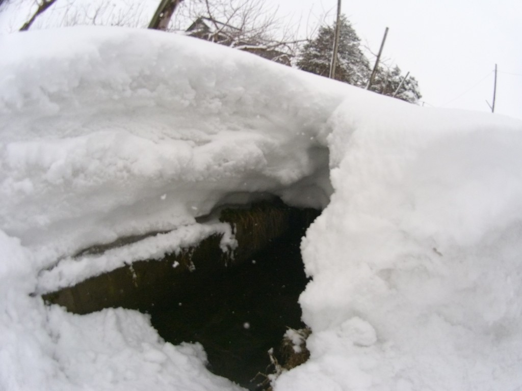 20140320_雪に埋もれた堰
