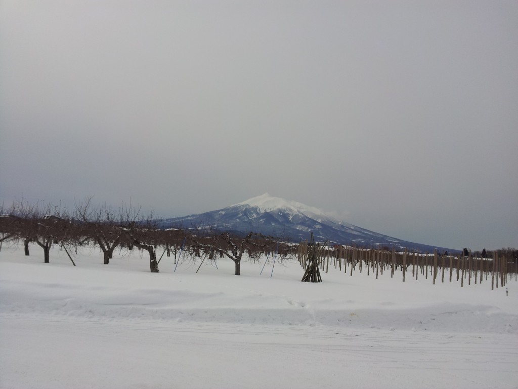 20140208_真冬の岩木山