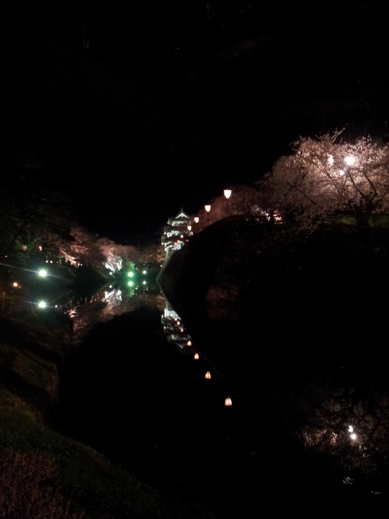 20130507_弘前城内壕の夜桜