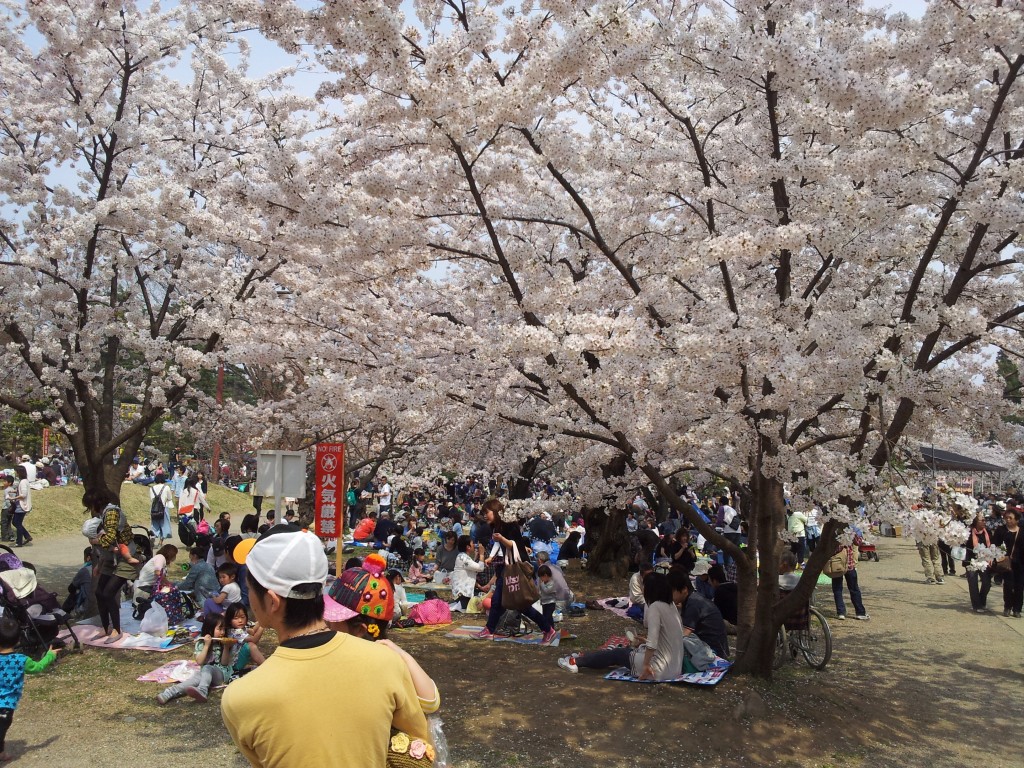 20140427_広場にて混み具合を撮影
