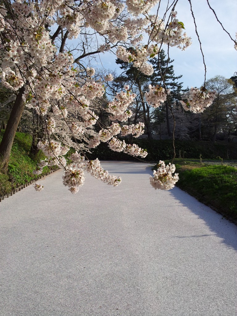 20140429_弘前城外堀一陽橋からの眺め