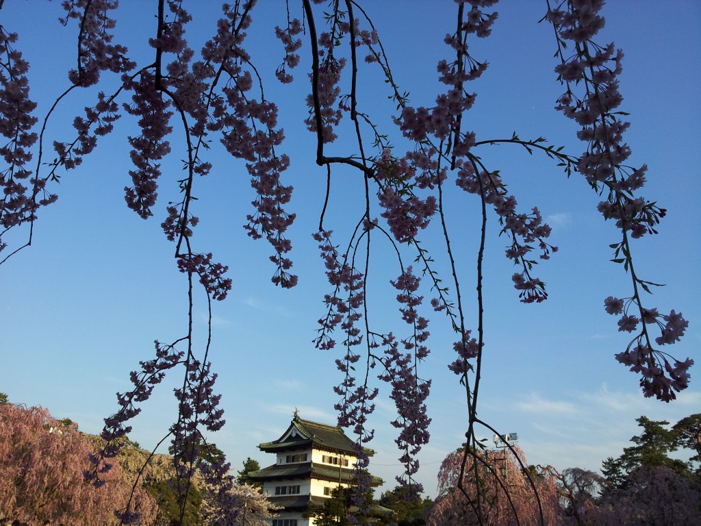 20140429_弘前城天守閣