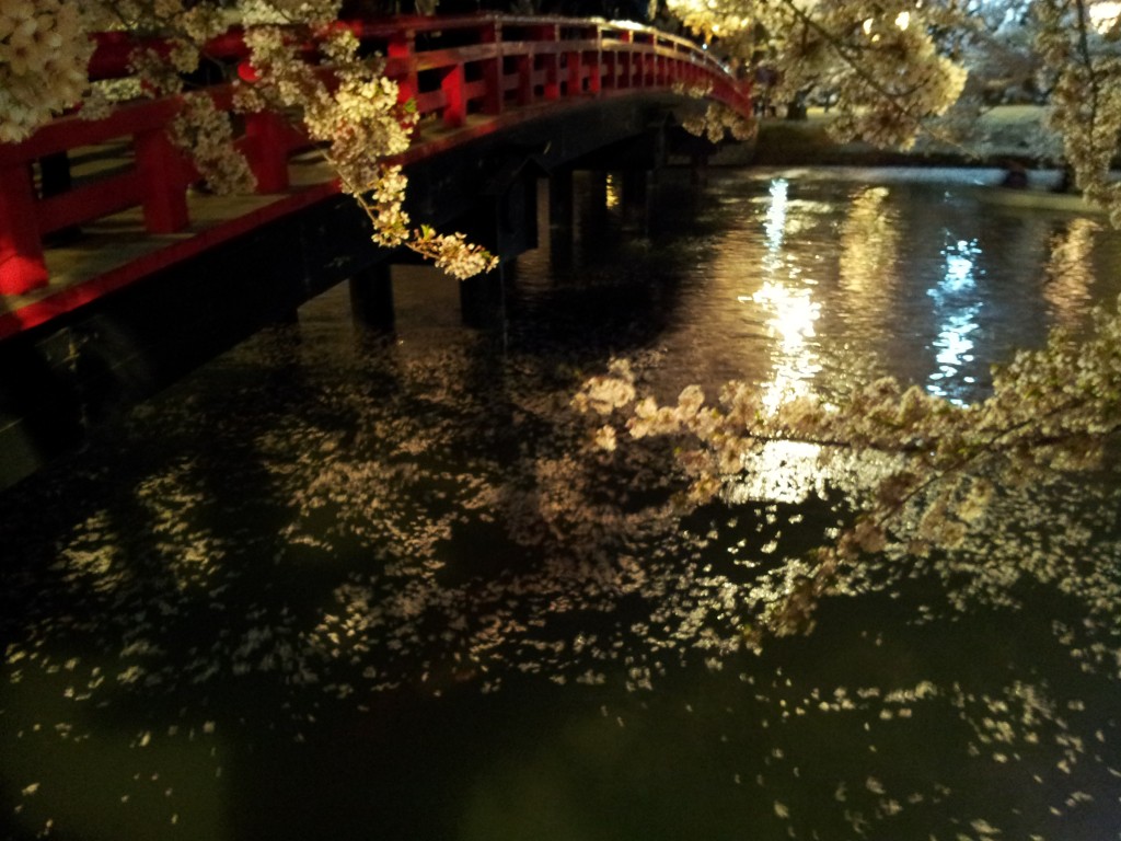 20140429_弘前城春陽橋たもとの夜桜