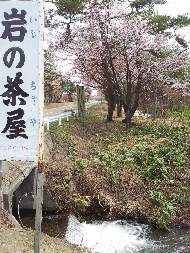 20140503_岩木山山麓の茶屋