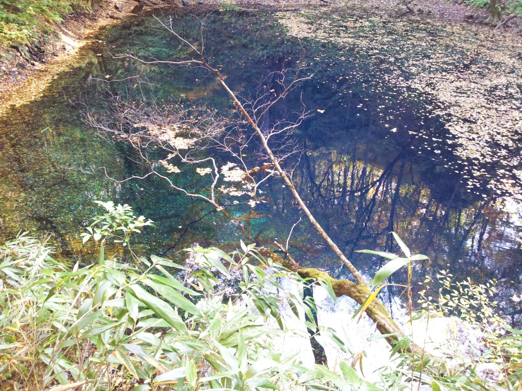 十二湖　青池　20141024