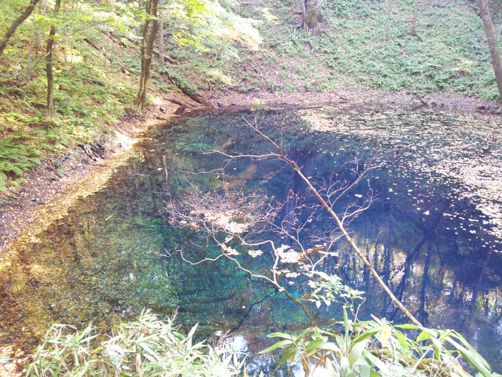 十二湖　青池　20141024