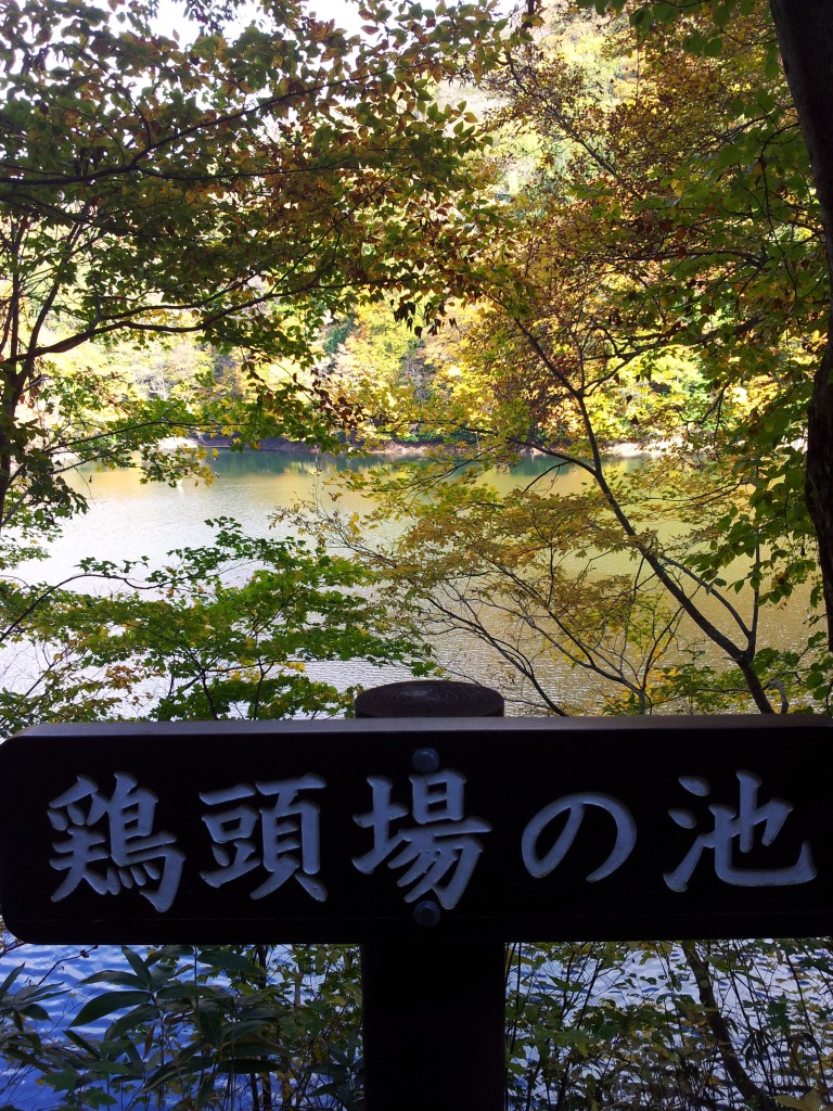 十二湖　鶏頭場の池　20141024