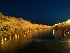 20140429_弘前城春陽橋夜桜