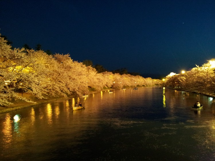 20140429_弘前城春陽橋夜桜