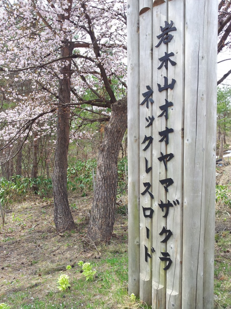 20140503_岩木山オオヤマザクラネックレスロード
